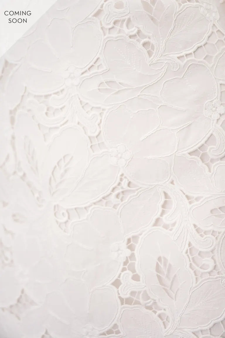 A close up of the Chaya - Jenny Yoo Little White Dress, commonly found in wedding dresses, by Bergamot Bridal.